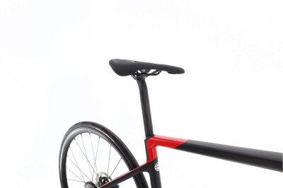 Rose Rose Reveal Four AXS 12V 2023