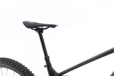 Orbea Wild M-Team 2023