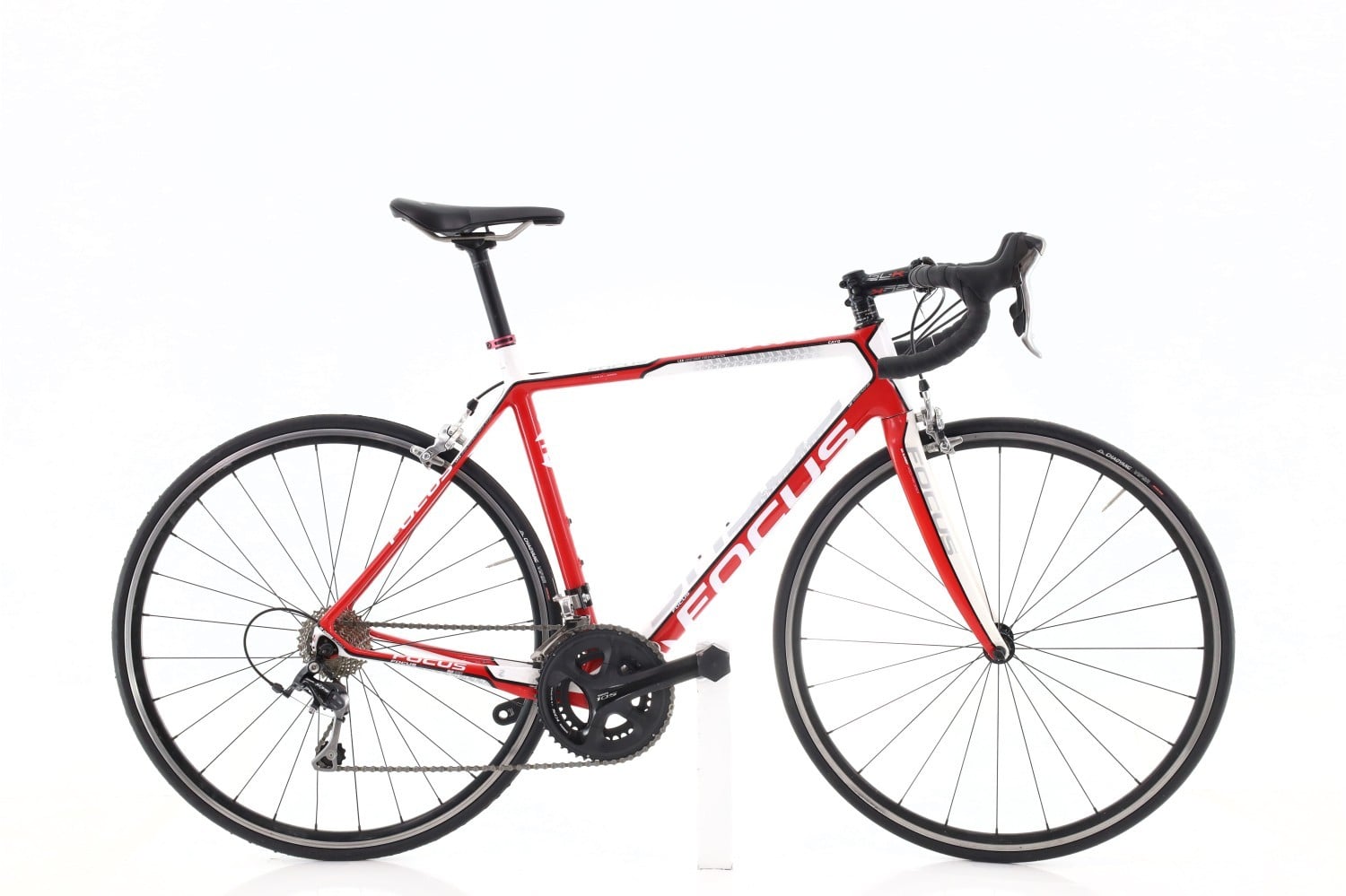 Focus Cayo Evo 2018