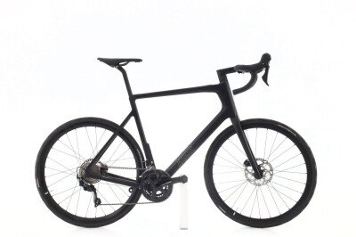 Rose Rose Reveal Plus 2024